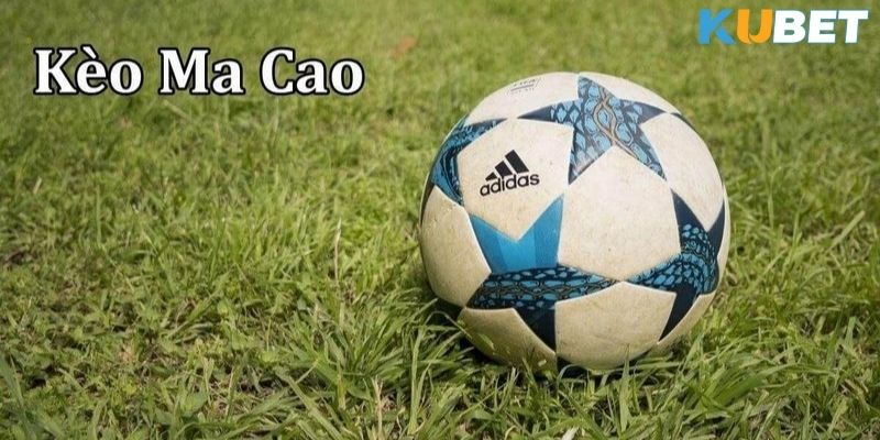 Chiến lược đánh bại tỷ lệ cược Macau tại Kubet