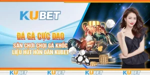 Đá gà cựa dao